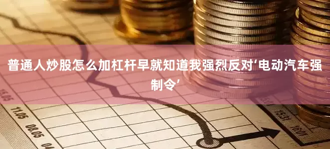 普通人炒股怎么加杠杆早就知道我强烈反对‘电动汽车强制令’
