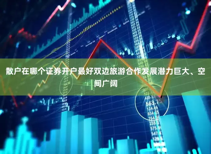 散户在哪个证券开户最好双边旅游合作发展潜力巨大、空间广阔
