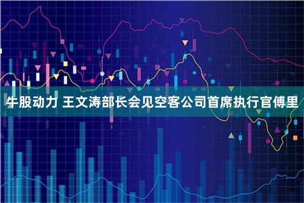 牛股动力 王文涛部长会见空客公司首席执行官傅里
