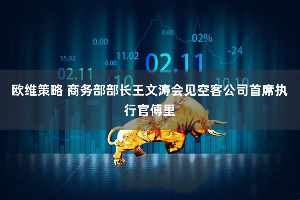 欧维策略 商务部部长王文涛会见空客公司首席执行官傅里
