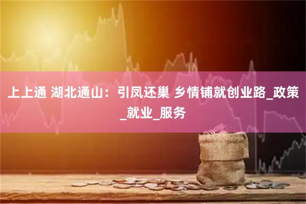 上上通 湖北通山：引凤还巢 乡情铺就创业路_政策_就业_服务