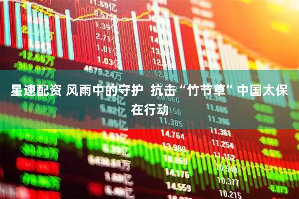 星速配资 风雨中的守护  抗击“竹节草”中国太保在行动